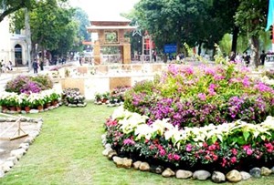 Fête florale de hanoi 2012