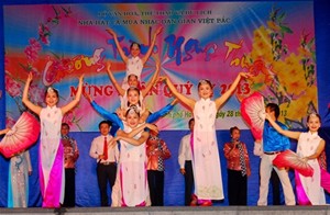 Promotion de la culture vietnamienne en Allemagne