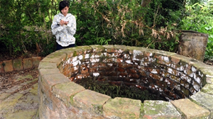 Découverte d'un puits antique à thanh hoa