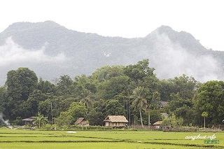 Randonnée dans le pays des Thais et Muong