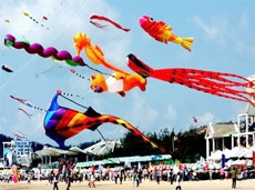Le festival de cerfs-volants de vung tàu 2010 attendu fin mars