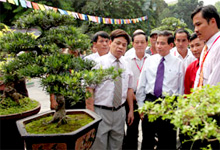Exposition de plantes et pierres d'agrément au pied de la statue de ly thai tô