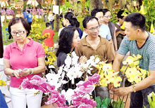 Hcm-ville inaugure la fête des fleurs printanières