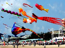 Le 3e festival international de cerf-volant à ba ria-vung tau