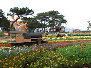 Exposition florale et de plante d'agrément de da lat 2012