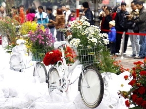 Festival floral de hanoi: valoriser les villages de métiers