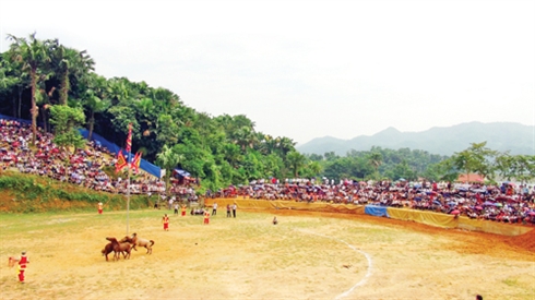 Hà Giang présente la fête du combat de chevaux