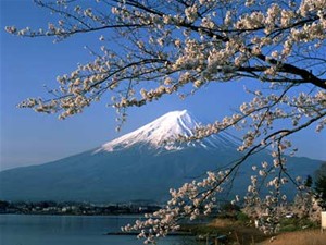 Les circuits touristiques au japon refleurissent