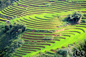 Semaine culturelle, sportive et touristique intitulée « pittoresque national, rizières en gradins de mu cang chai 2012 »