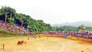 Hà Giang présente la fête du combat de chevaux