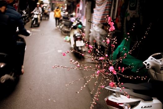 Un air printannier au cœur de Hanoi