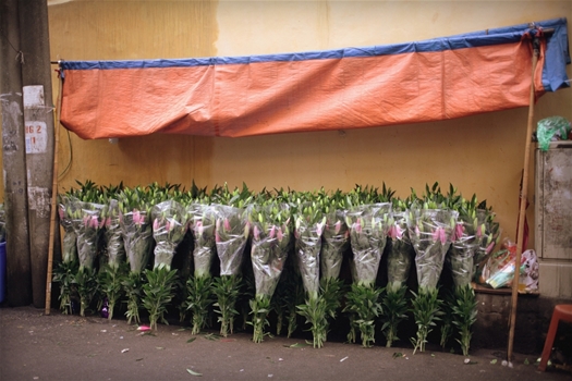 Un air printannier au cœur de Hanoi
