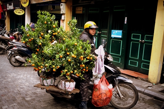 Un air printannier au cœur de Hanoi