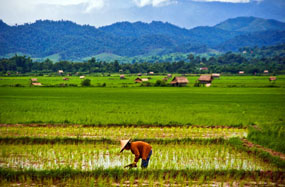La région du nord du Laos