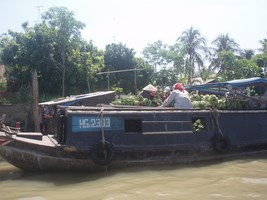 Delta du Mekong avec nuit chez l'habitant