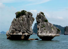 Quang ninh : pour une baie de ha long verte, propre et belle