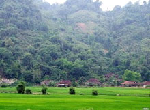 Les tenants de la tradition ravis à tuyên quang