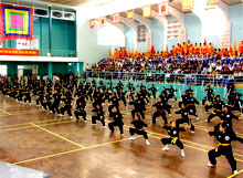 Festival des arts martiaux traditionnels vietnamiens en août