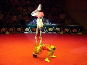 Le vietnam couronné au festival international du cirque à cuba