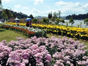 La nouveauté du festival floral da lat 2012