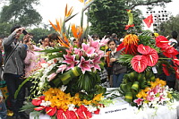 L'ambassade des pays-bas fleurit les floralies à hanoi