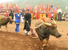 Hà nam : ouverture de la fête de tich dien 2011