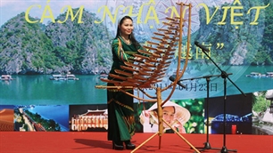 Fête culturelle du vietnam à pékin