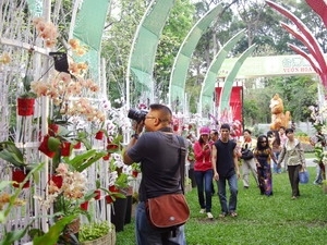 Hô chi minh-ville : bons plats et fleurs pour le nouvel an