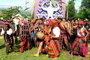 Bientôt la fête culturelle, sportive et touristique des ethnies des hauts-plateaux du centre 2012