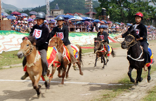 Course hippique traditionnelle de bac ha 2012