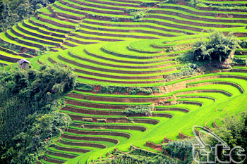 Semaine culturelle, sportive et touristique intitulée « pittoresque national, rizières en gradins de mu cang chai 2012 »