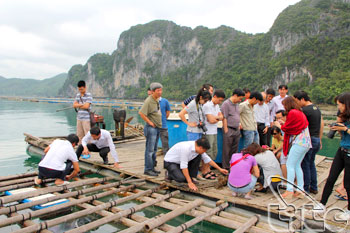 Voyage d’étude dans le district de van don, province de quang ninh